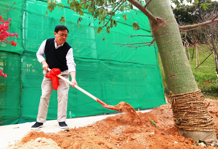 1497254400788364.jpg 8.jpg