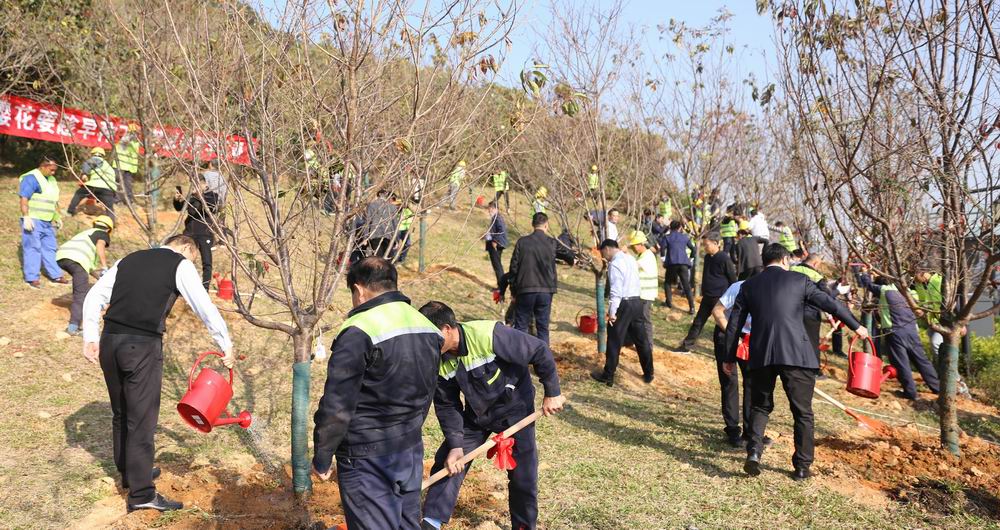 1640917197379423.jpg 1640913227616463.jpg